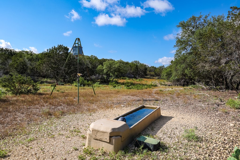 N/A County Rd 102, Ozona, Texas image 17