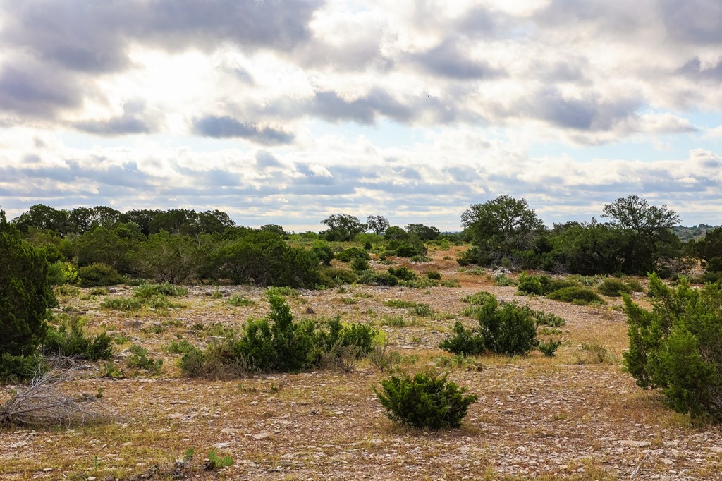 N/A County Rd 102, Ozona, Texas image 25