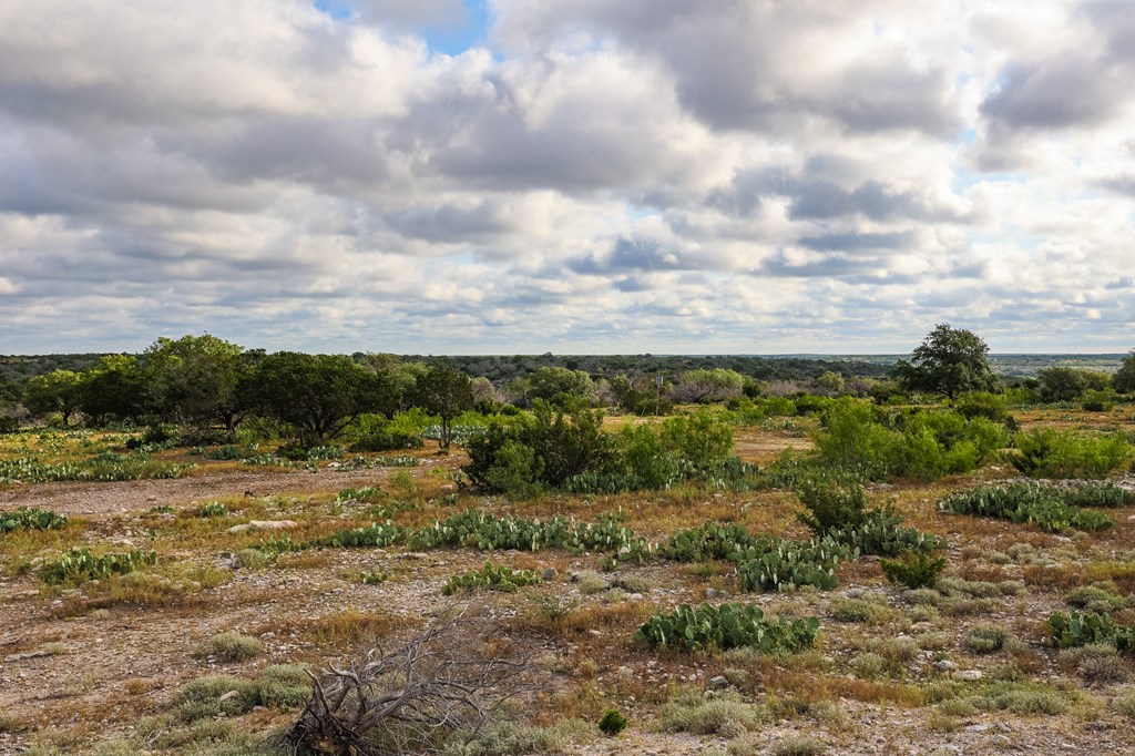 N/A County Rd 102, Ozona, Texas image 6