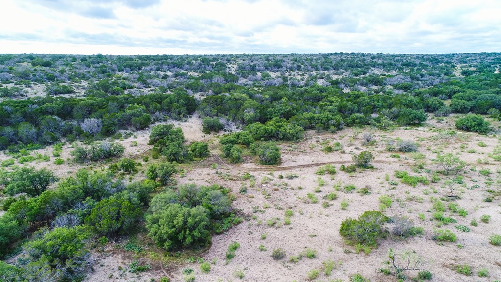 N/A County Rd 102, Ozona, Texas image 40