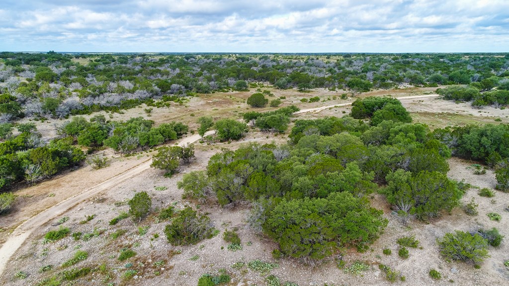 N/A County Rd 102, Ozona, Texas image 22