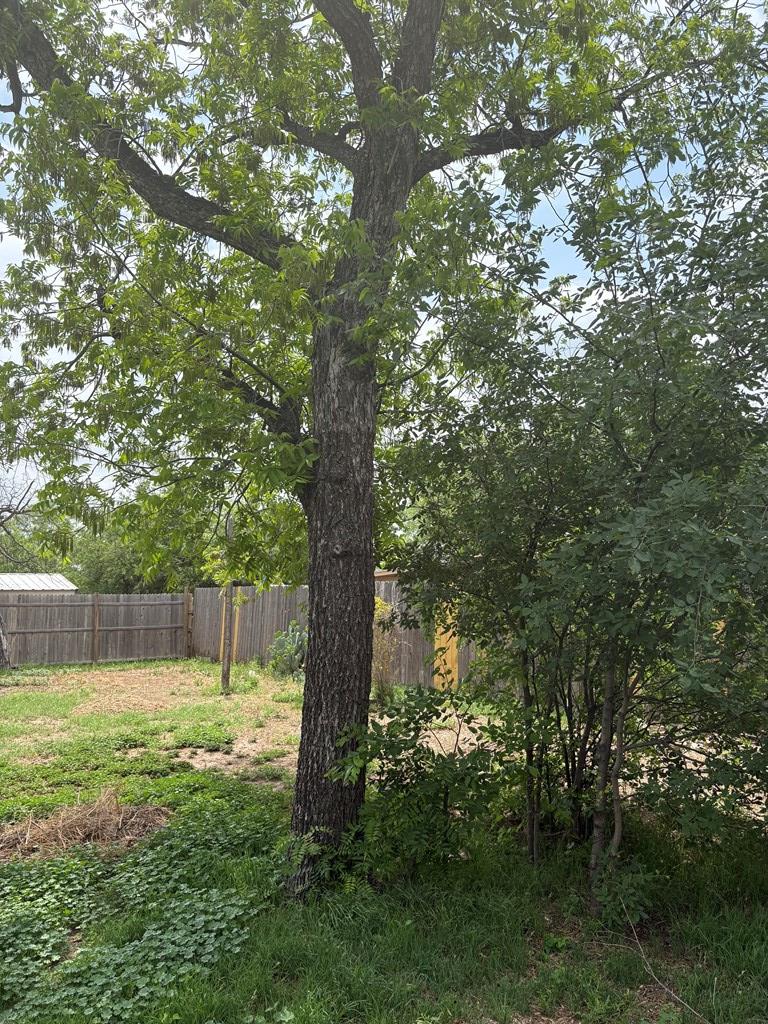 811 Akin St, San Angelo, Texas image 10