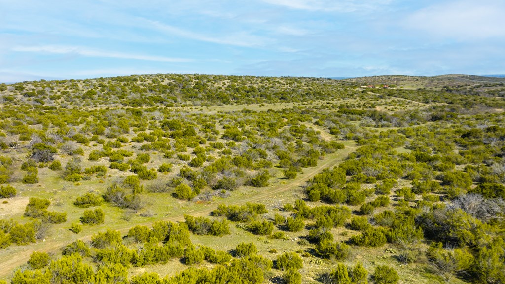 Poverty Canyon Rd, Bronte, Texas image 9