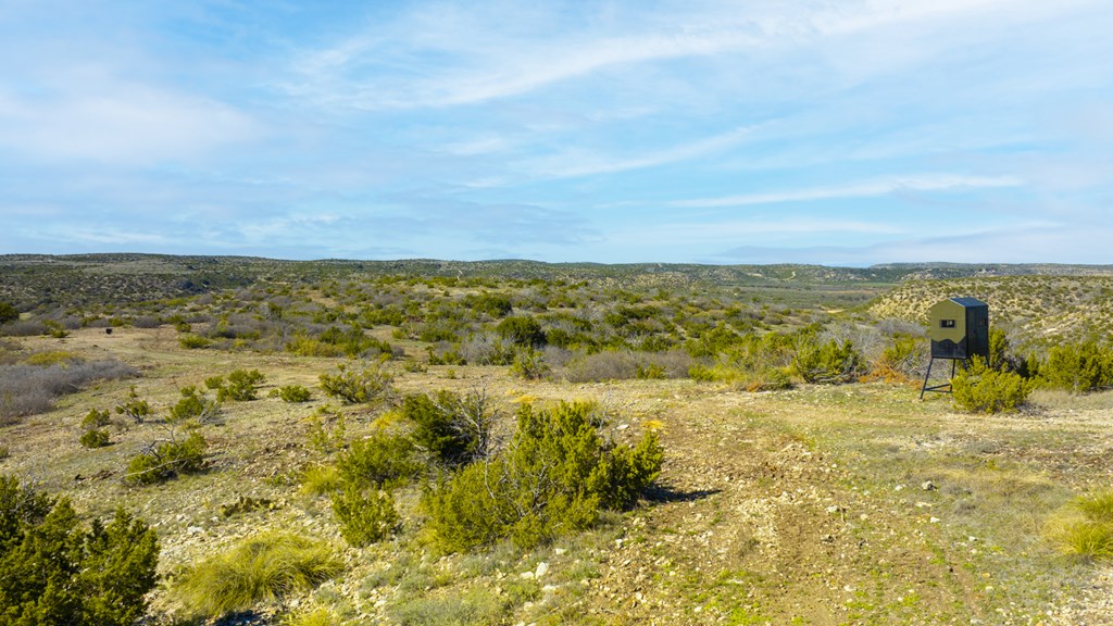 Poverty Canyon Rd, Bronte, Texas image 6