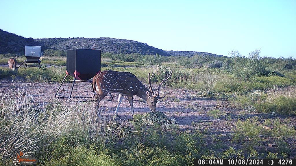 Poverty Canyon Rd, Bronte, Texas image 48