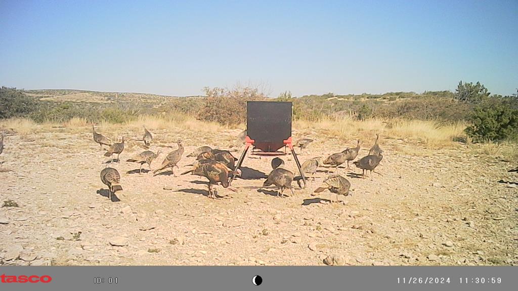 Poverty Canyon Rd, Bronte, Texas image 41