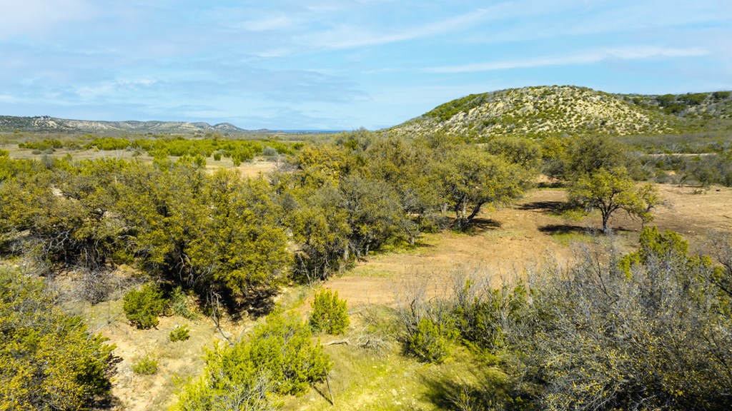 Poverty Canyon Rd, Bronte, Texas image 4