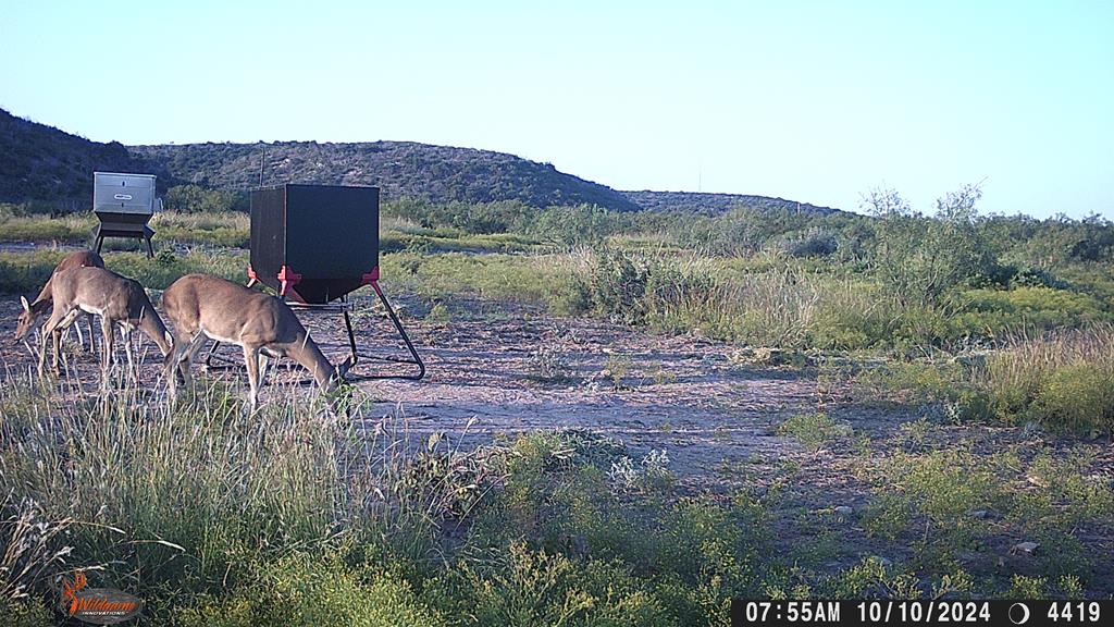 Poverty Canyon Rd, Bronte, Texas image 50