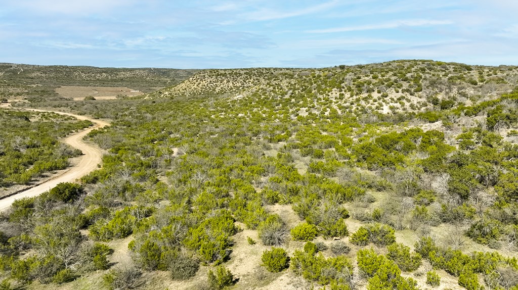 Poverty Canyon Rd, Bronte, Texas image 33