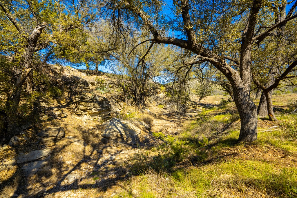 Poverty Canyon Rd, Bronte, Texas image 20