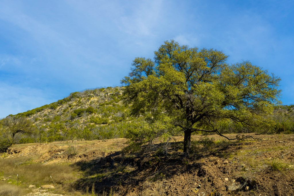 Poverty Canyon Rd, Bronte, Texas image 19