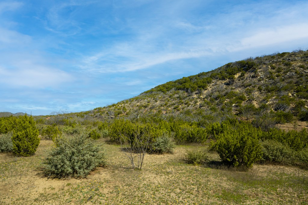 Poverty Canyon Rd, Bronte, Texas image 15