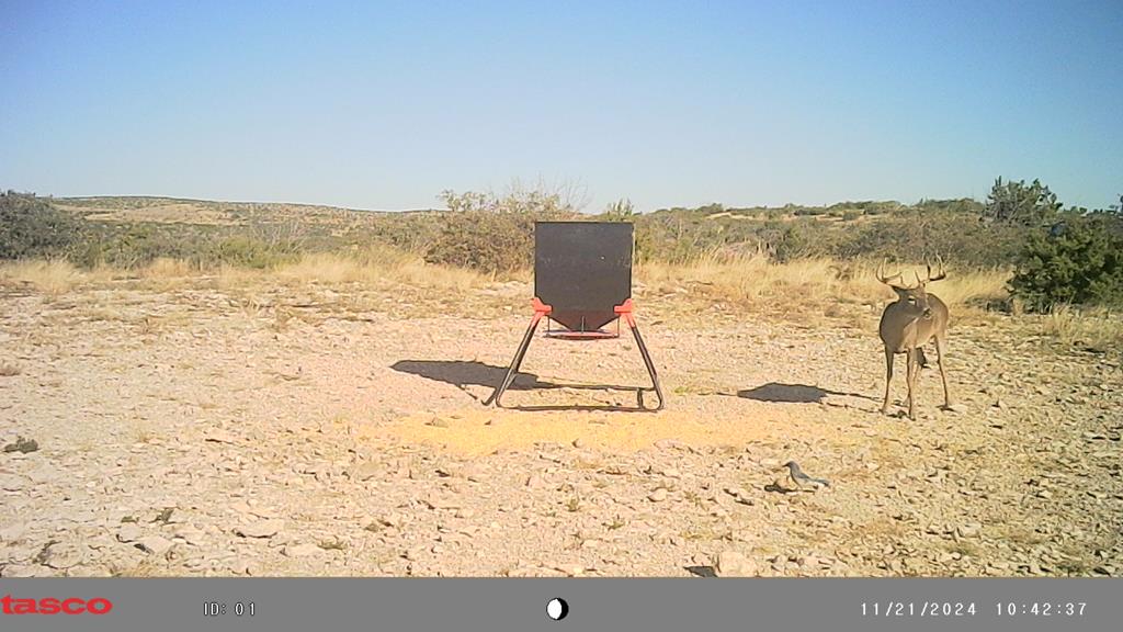 Poverty Canyon Rd, Bronte, Texas image 39