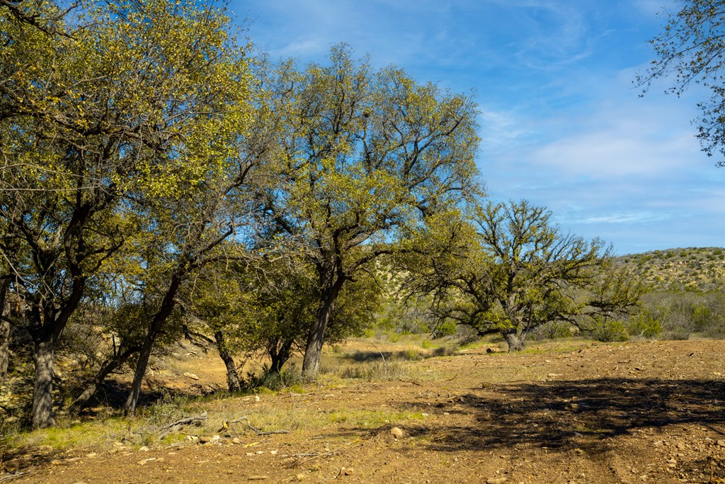 Poverty Canyon Rd, Bronte, Texas image 22