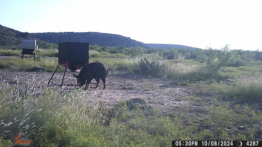 Poverty Canyon Rd, Bronte, Texas image 49