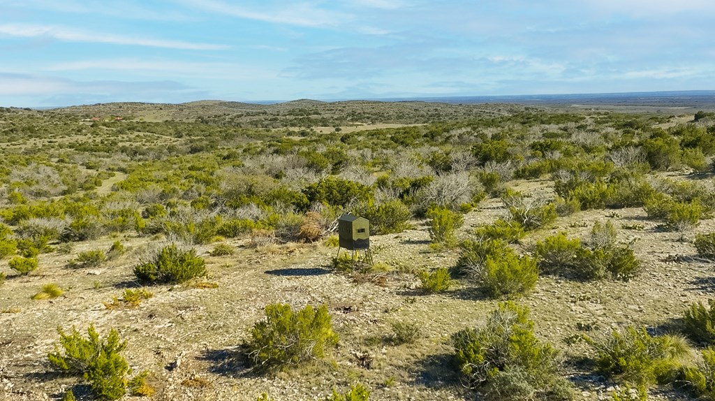 Poverty Canyon Rd, Bronte, Texas image 29