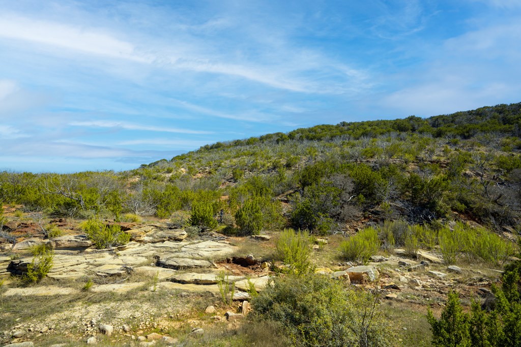 Poverty Canyon Rd, Bronte, Texas image 14