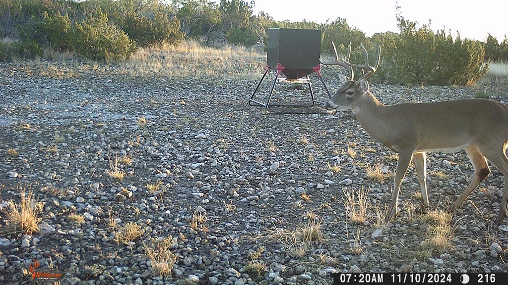 Poverty Canyon Rd, Bronte, Texas image 44