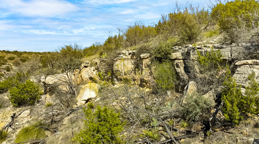 Poverty Canyon Rd, Bronte, Texas image 34