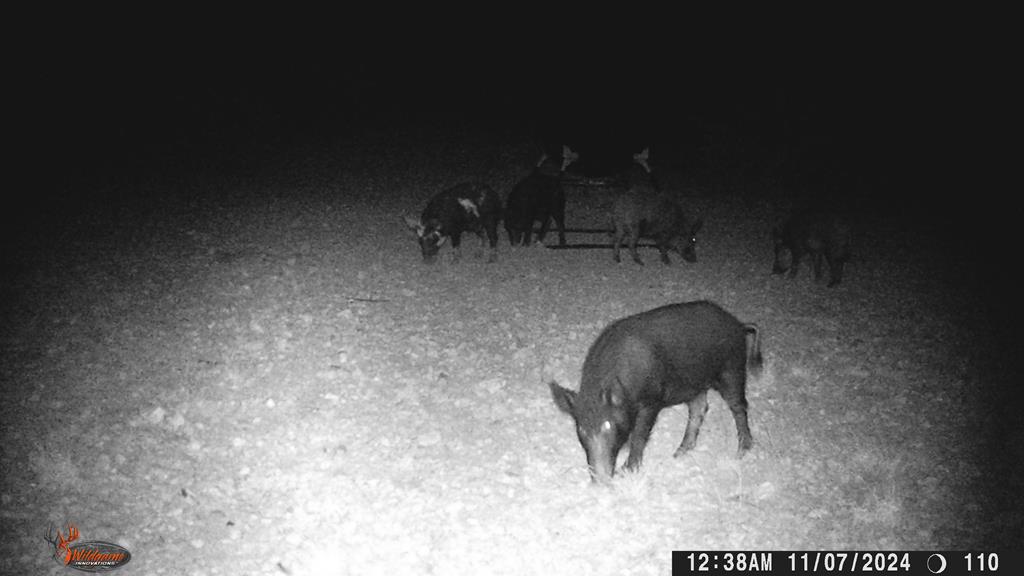 Poverty Canyon Rd, Bronte, Texas image 43