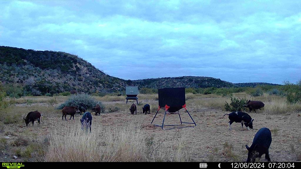 Poverty Canyon Rd, Bronte, Texas image 36