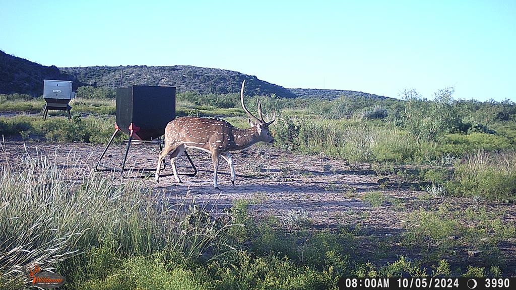 Poverty Canyon Rd, Bronte, Texas image 46