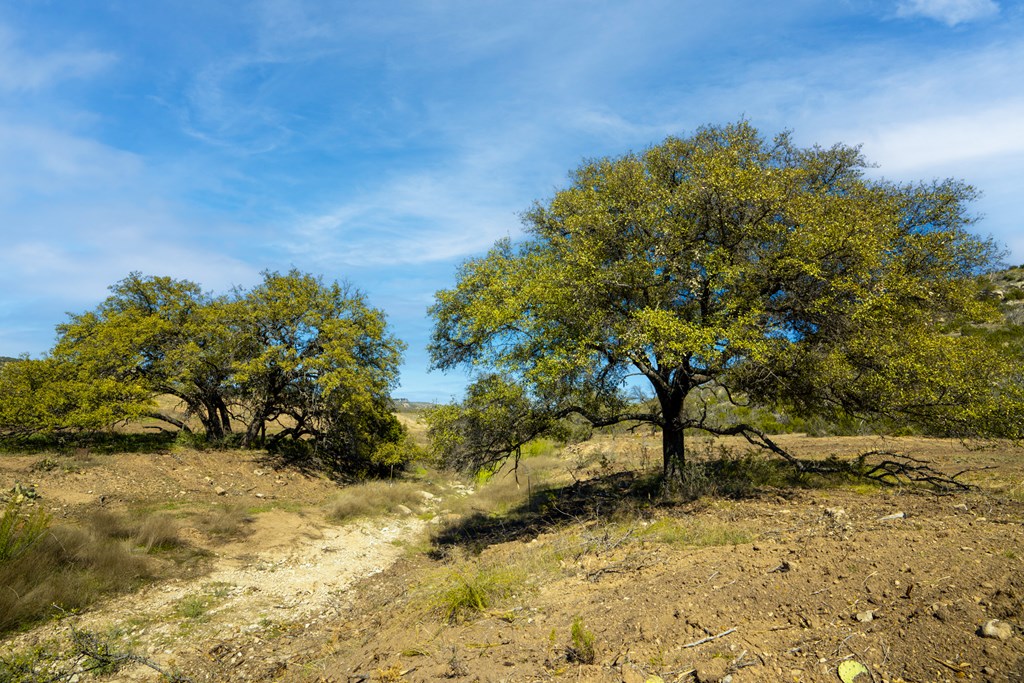 Poverty Canyon Rd, Bronte, Texas image 17