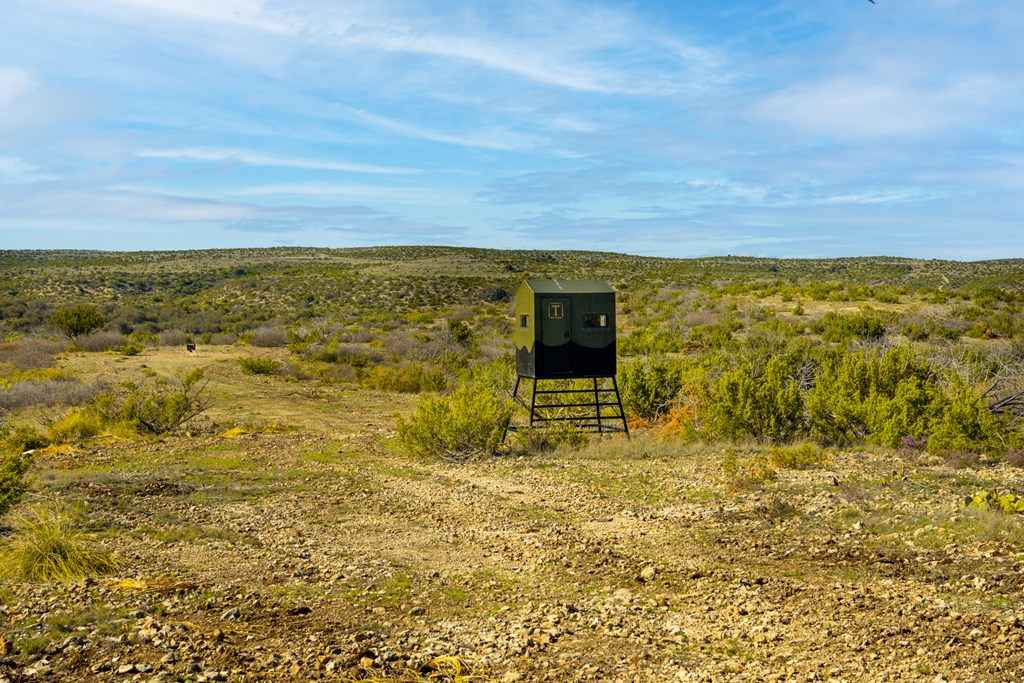 Poverty Canyon Rd, Bronte, Texas image 23