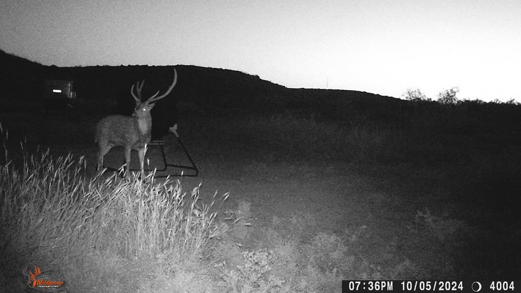 Poverty Canyon Rd, Bronte, Texas image 47