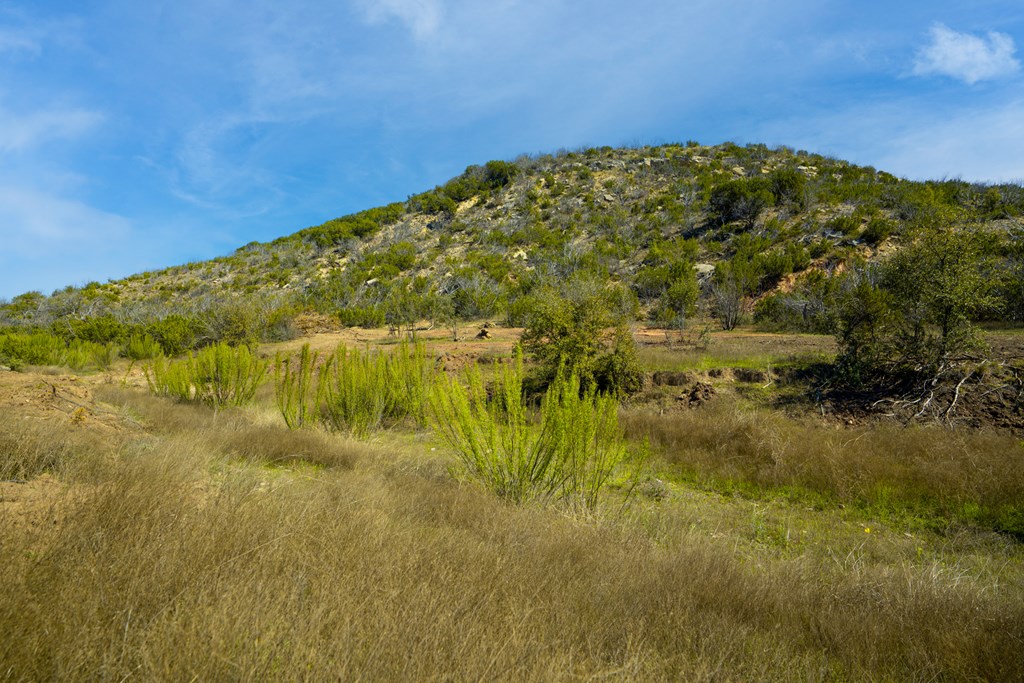 Poverty Canyon Rd, Bronte, Texas image 16