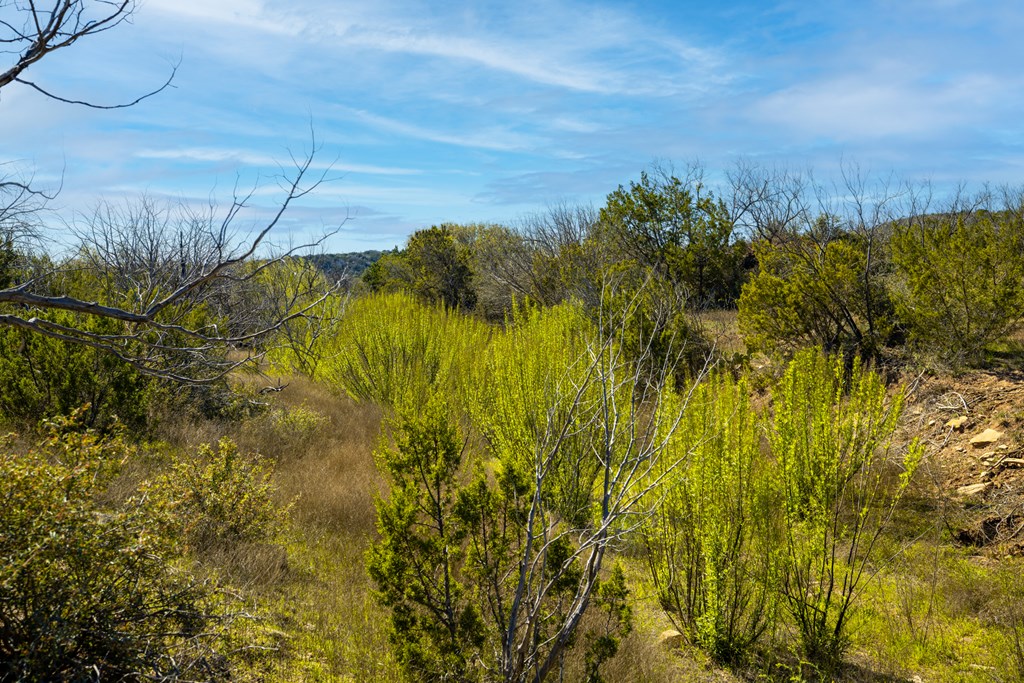 Poverty Canyon Rd, Bronte, Texas image 18