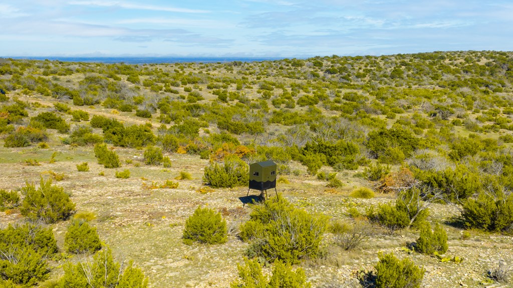 Poverty Canyon Rd, Bronte, Texas image 8