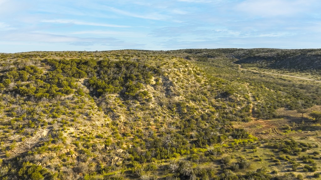 Poverty Canyon Rd, Bronte, Texas image 13