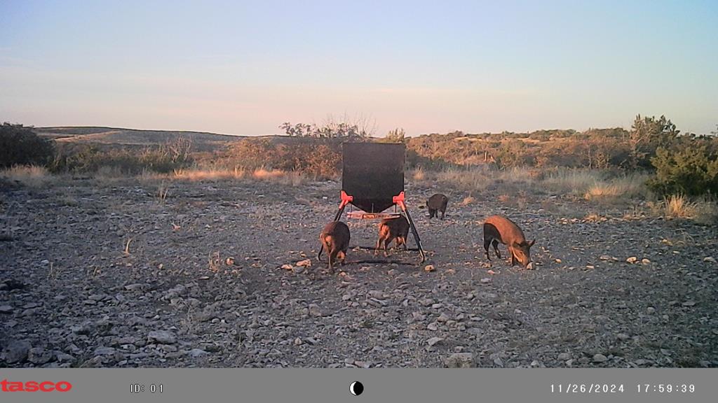 Poverty Canyon Rd, Bronte, Texas image 42