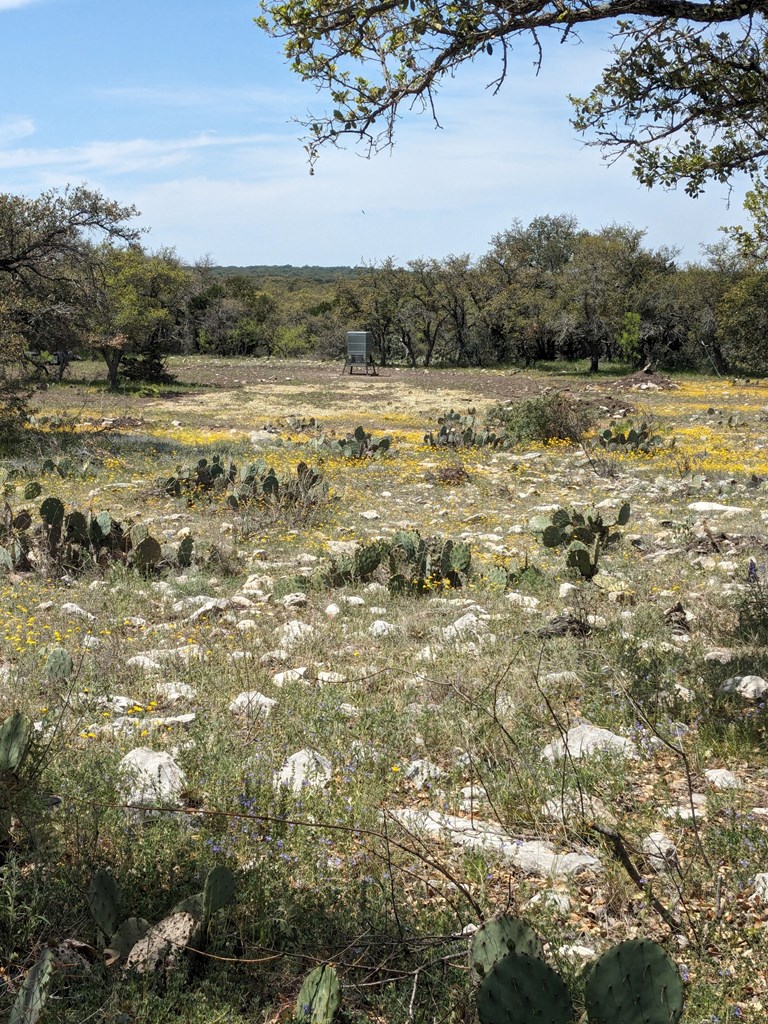 1081 SE Whitetail Trl #10, Eldorado, Texas image 3