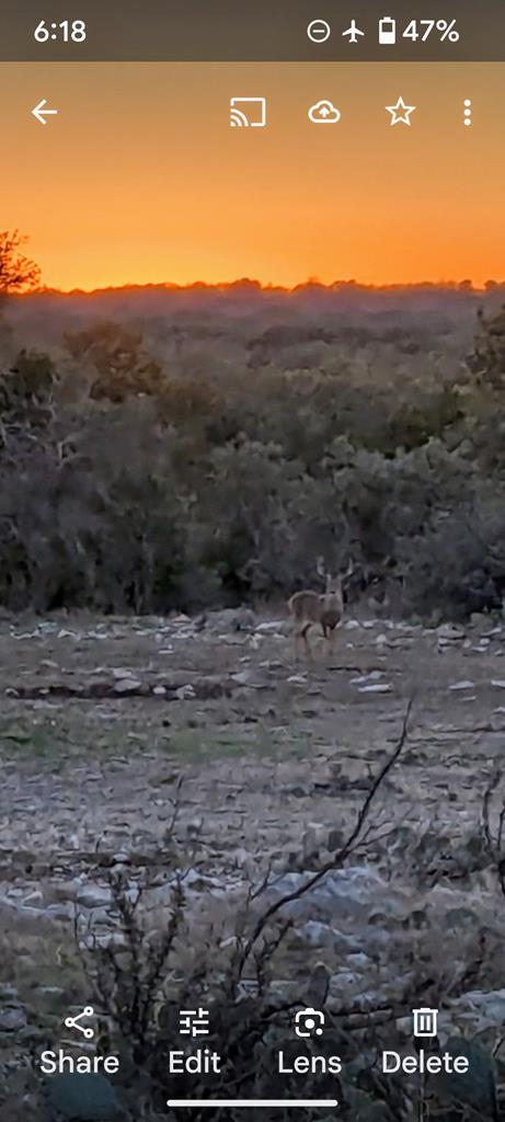 1081 SE Whitetail Trl #10, Eldorado, Texas image 10