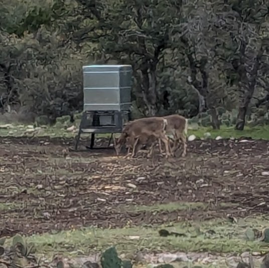 1081 SE Whitetail Trl #10, Eldorado, Texas image 16