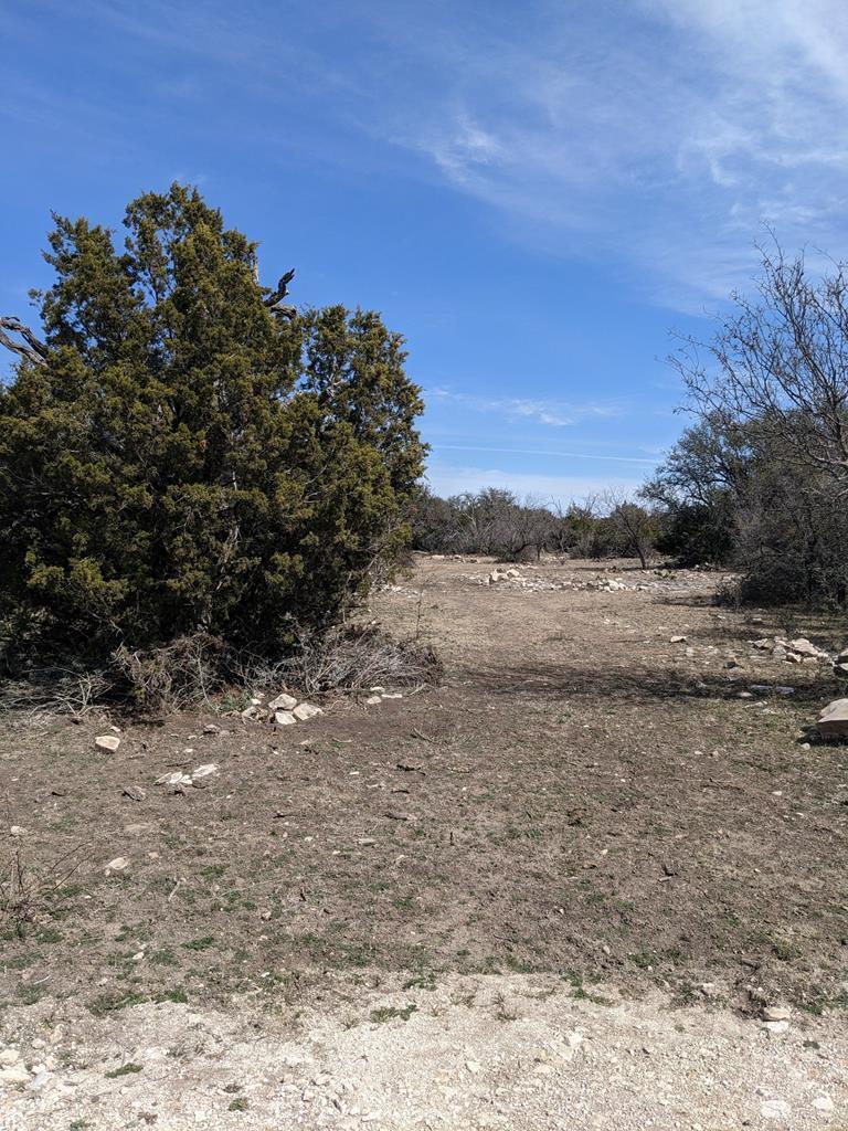 1081 SE Whitetail Trl #10, Eldorado, Texas image 1