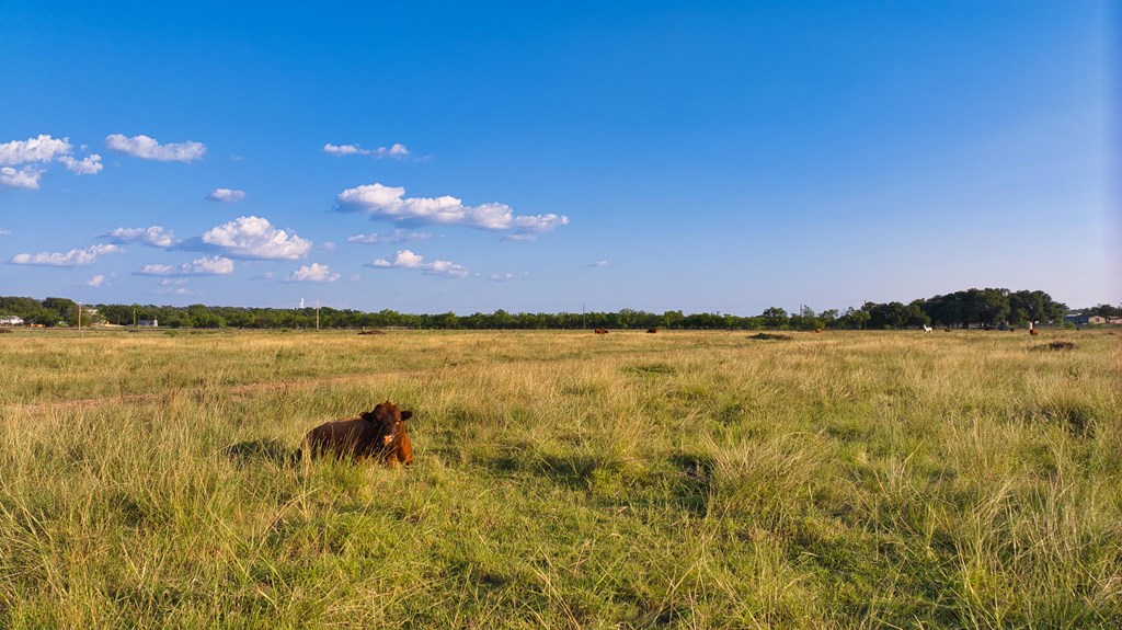 18045 Kenley Lane, Christoval, Texas image 7