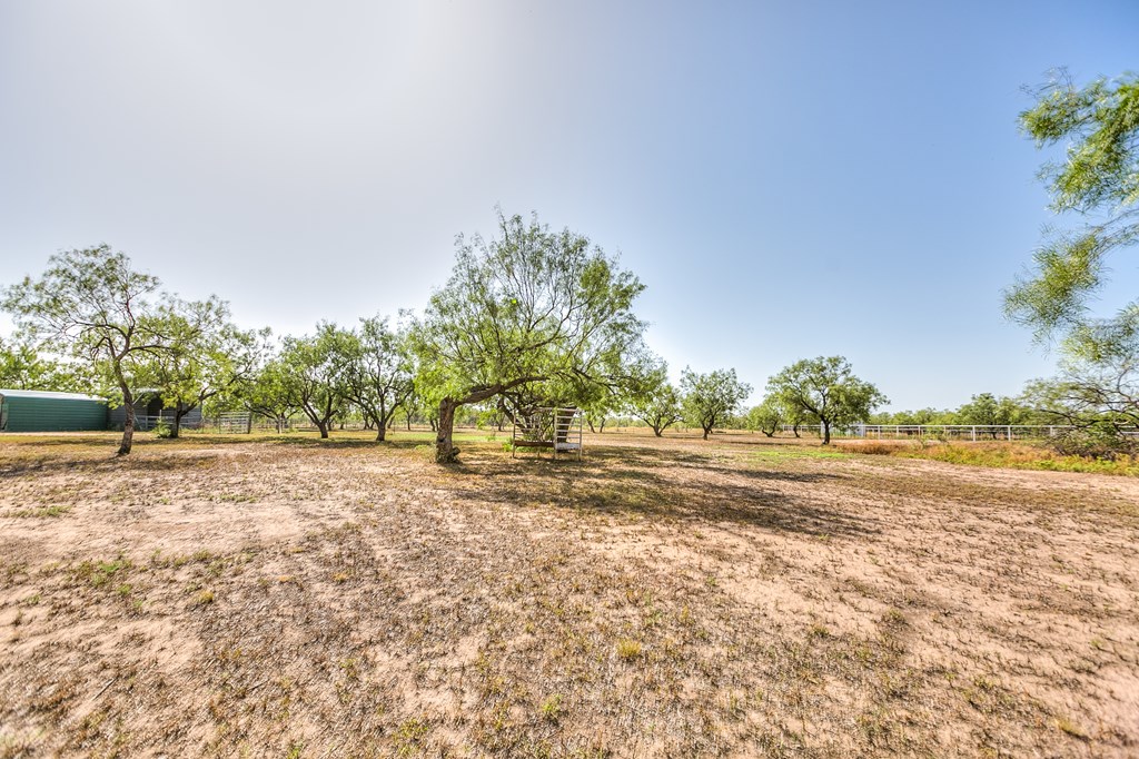 10985 Buck Hollow Loop, Carlsbad, Texas image 36