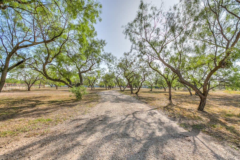 10985 Buck Hollow Loop, Carlsbad, Texas image 3