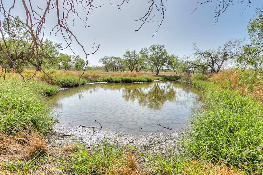 10985 Buck Hollow Loop, Carlsbad, Texas image 35