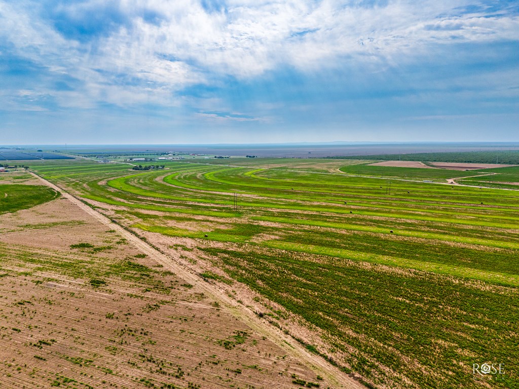 8241 S Ratliff Rd, San Angelo, Texas image 9