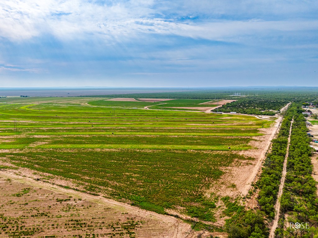 8241 S Ratliff Rd, San Angelo, Texas image 8