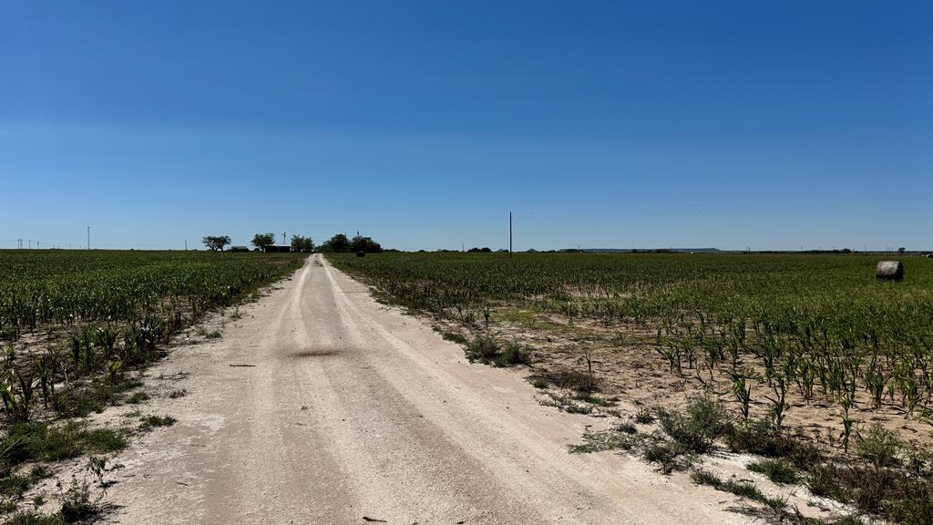 8241 S Ratliff Rd, San Angelo, Texas image 19