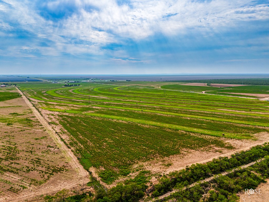 8241 S Ratliff Rd, San Angelo, Texas image 7