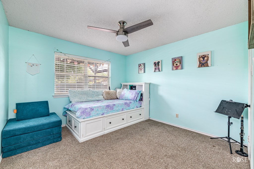 3237 Walnut Hill Dr, San Angelo, Texas image 20