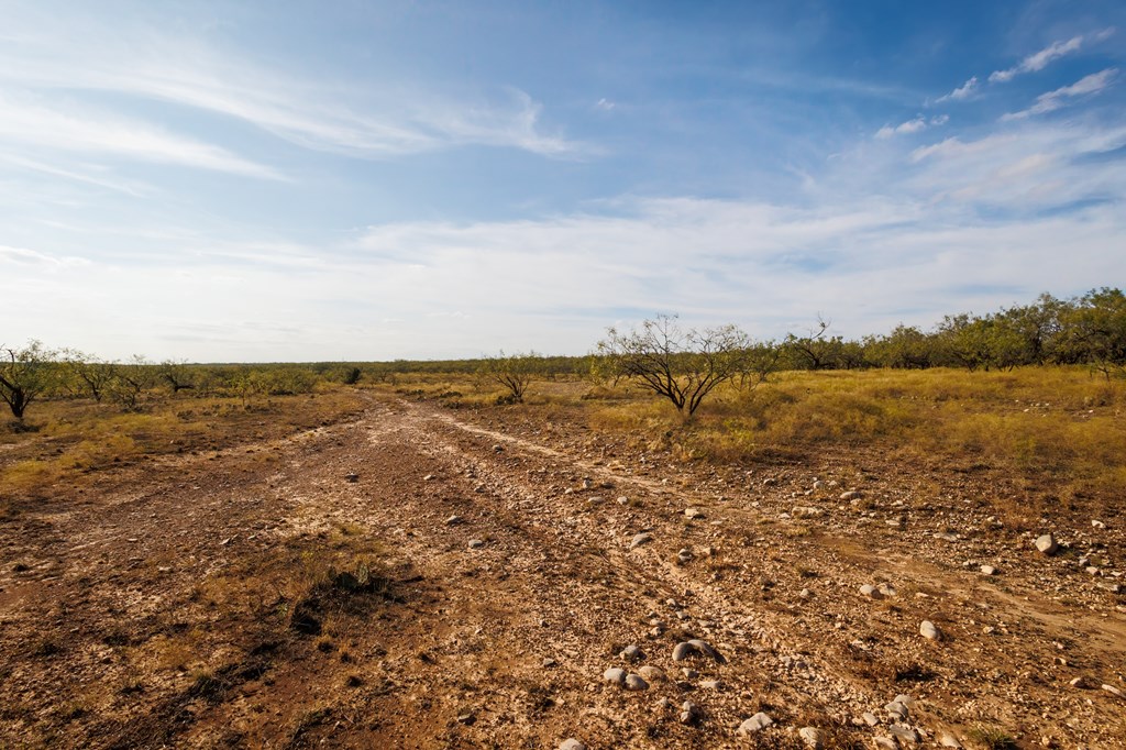 TBD Hwy 67, Talpa, Texas image 37