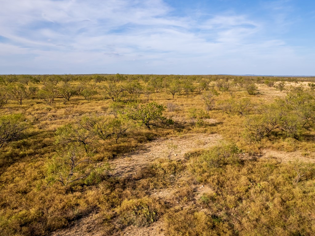 TBD Hwy 67, Talpa, Texas image 32