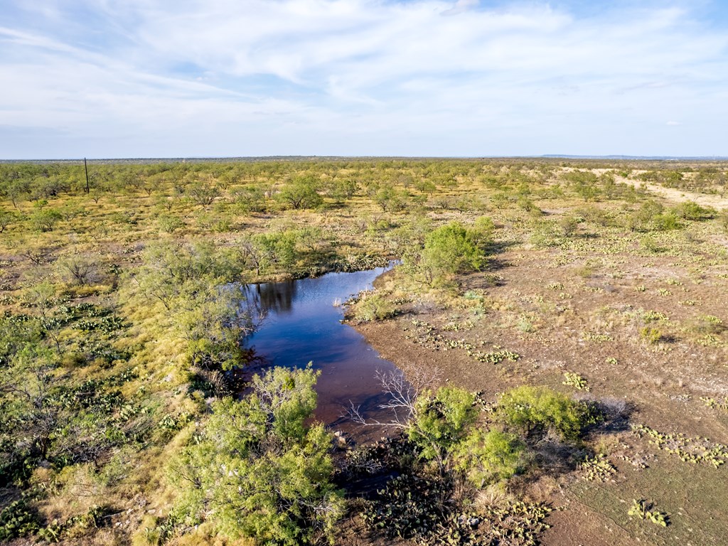 TBD Hwy 67, Talpa, Texas image 14